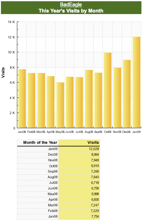 Site Meter Chart of BadEagle.com Visits, January 2008-January 2009