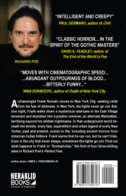 Back cover of Perfect Fear, by Richard Poe
